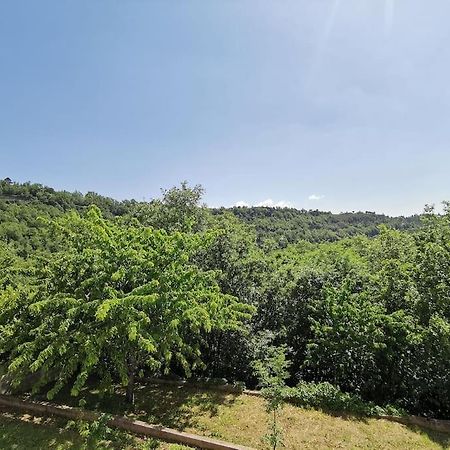 Appartement 2 Ou 4 Personnes. Venaco Venaco  Eksteriør billede